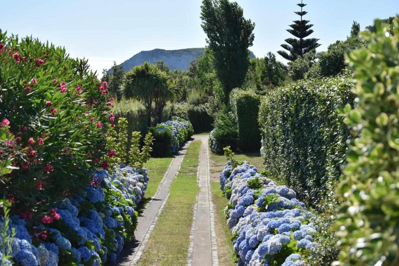 Quinta Da Meia Eira Castelo Branco  Buitenkant foto