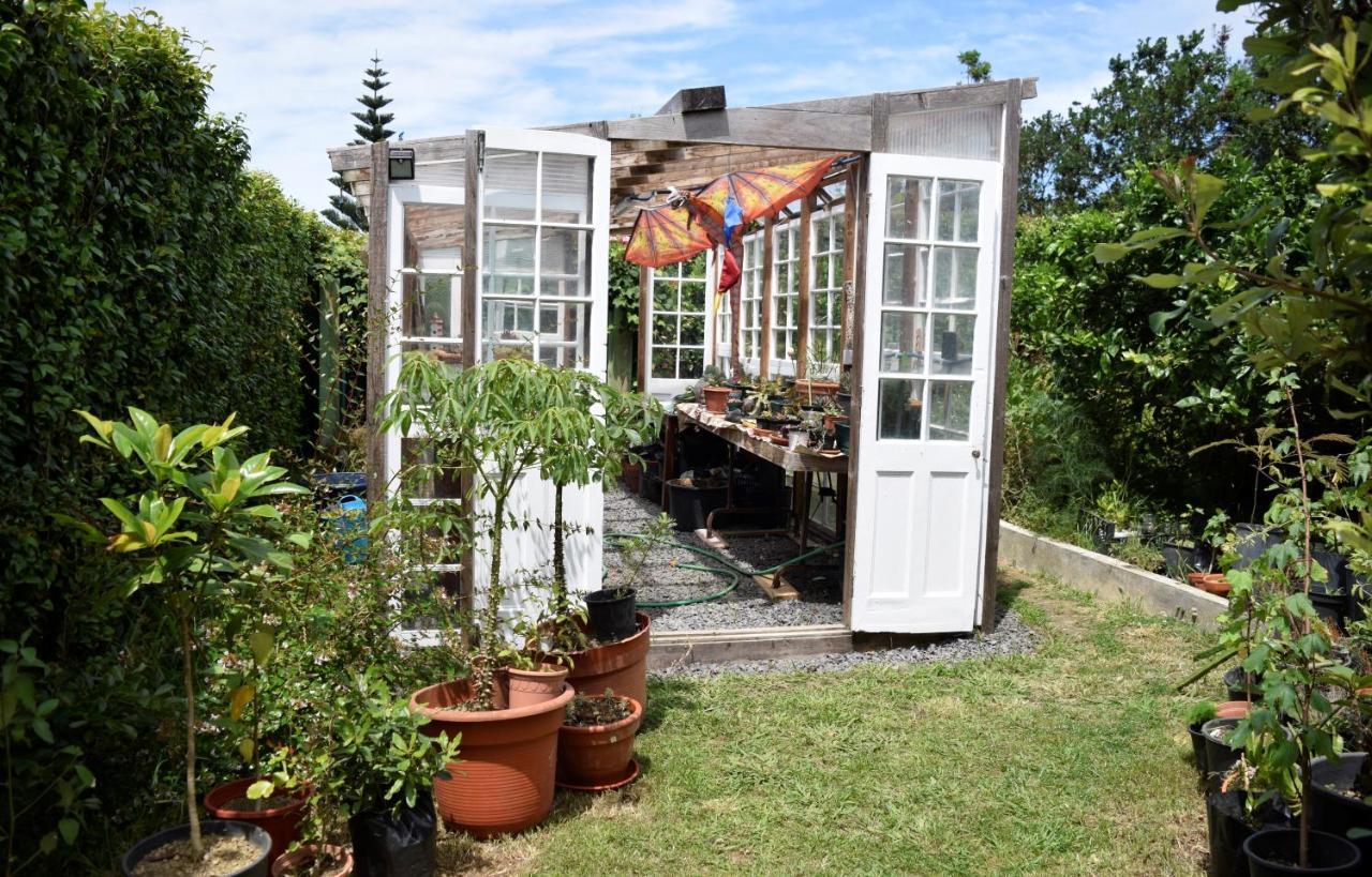 Quinta Da Meia Eira Castelo Branco  Buitenkant foto