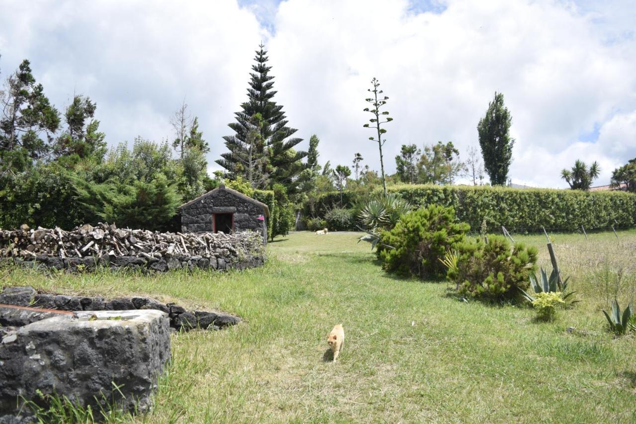 Quinta Da Meia Eira Castelo Branco  Buitenkant foto