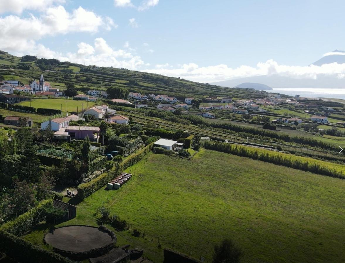 Quinta Da Meia Eira Castelo Branco  Buitenkant foto