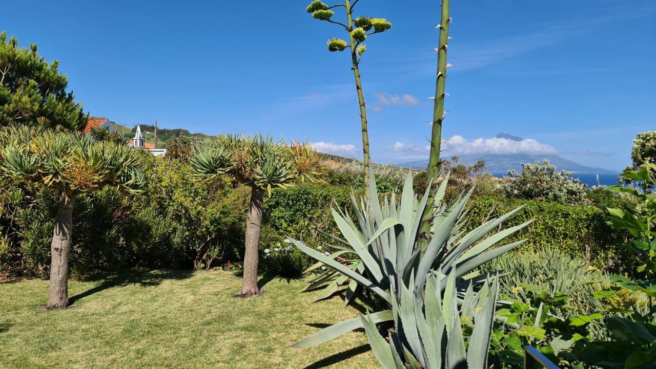 Quinta Da Meia Eira Castelo Branco  Buitenkant foto