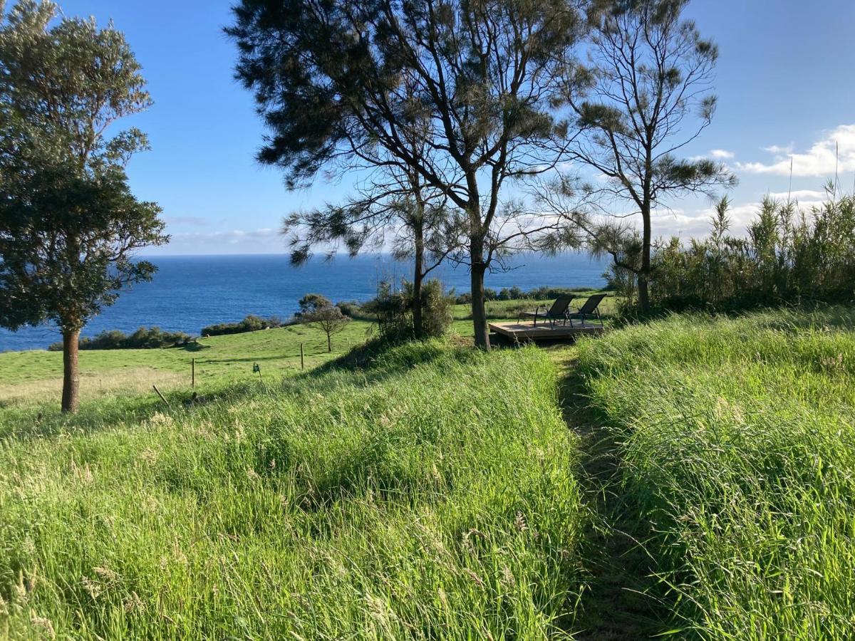 Quinta Da Meia Eira Castelo Branco  Buitenkant foto