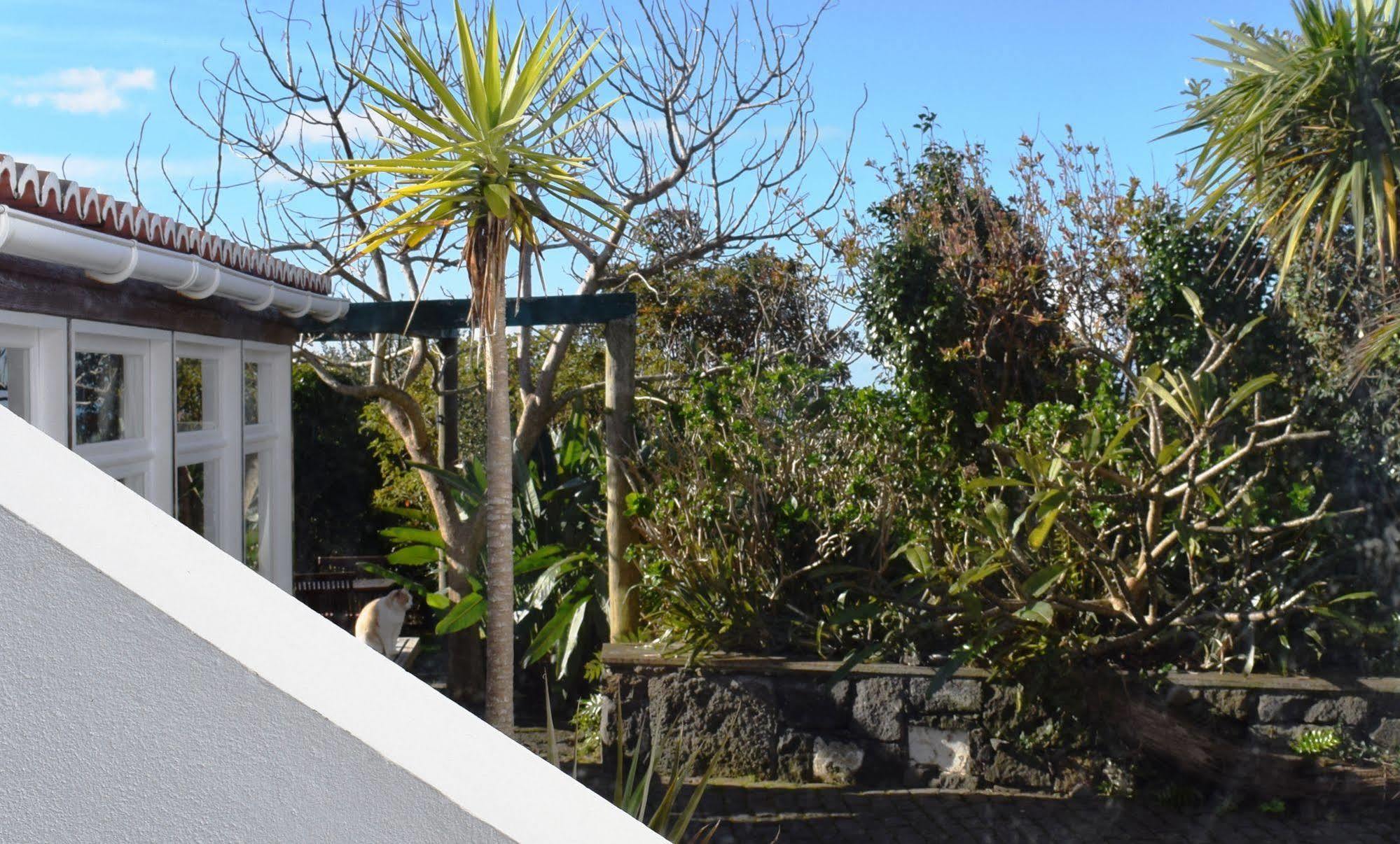 Quinta Da Meia Eira Castelo Branco  Buitenkant foto